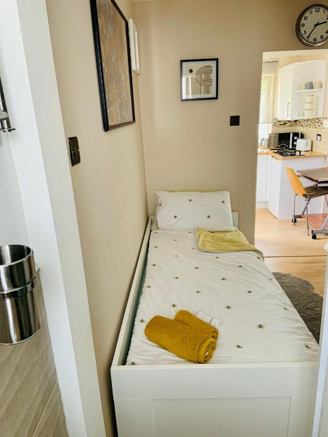 Appartement Beautiful Self Contained Studio à Londres Extérieur photo